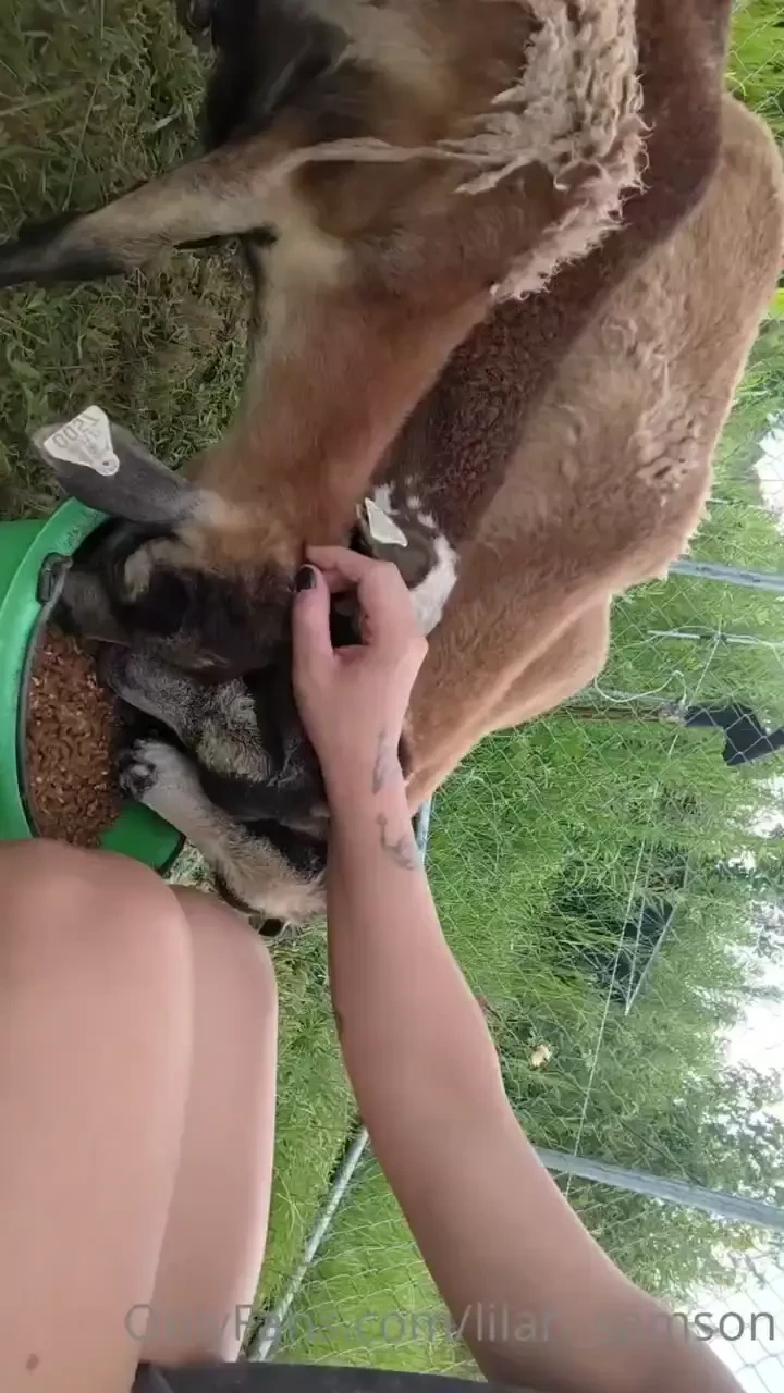 I hope ya ll have a happy sand safe 4th of july 4 days in and i 