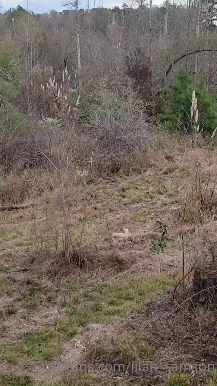 Shooting house 2 i have 3 on the farm right now and those two trees i part 1 