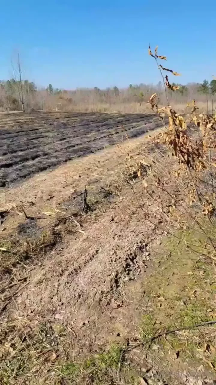 Started burning my garden plots i ll be starting my big fields soon 