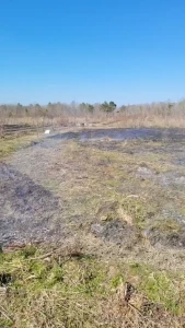 Started burning my garden plots i ll be starting my big fields soon part 1