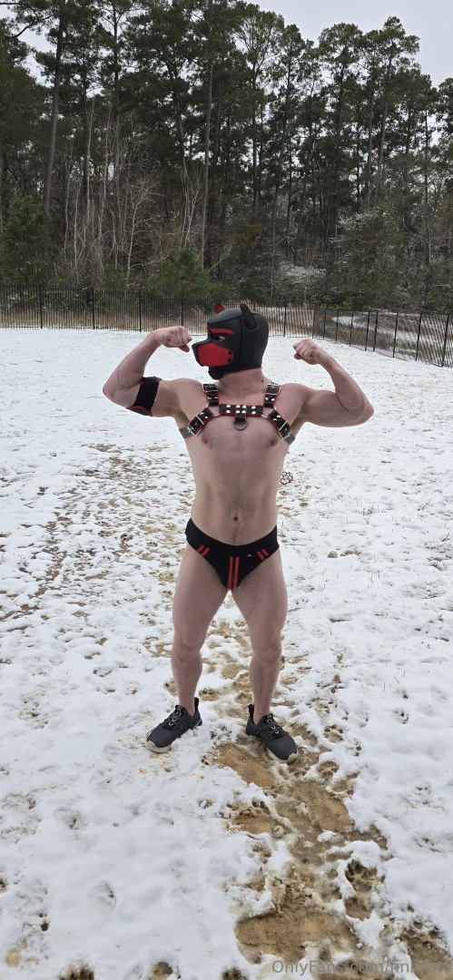 Snow in houston this pup couldn t be happier part 1 