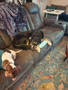 Good food dogs and happy days in nature part 3