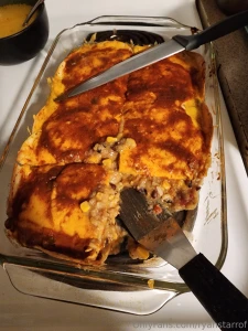 Good food dogs and happy days in nature