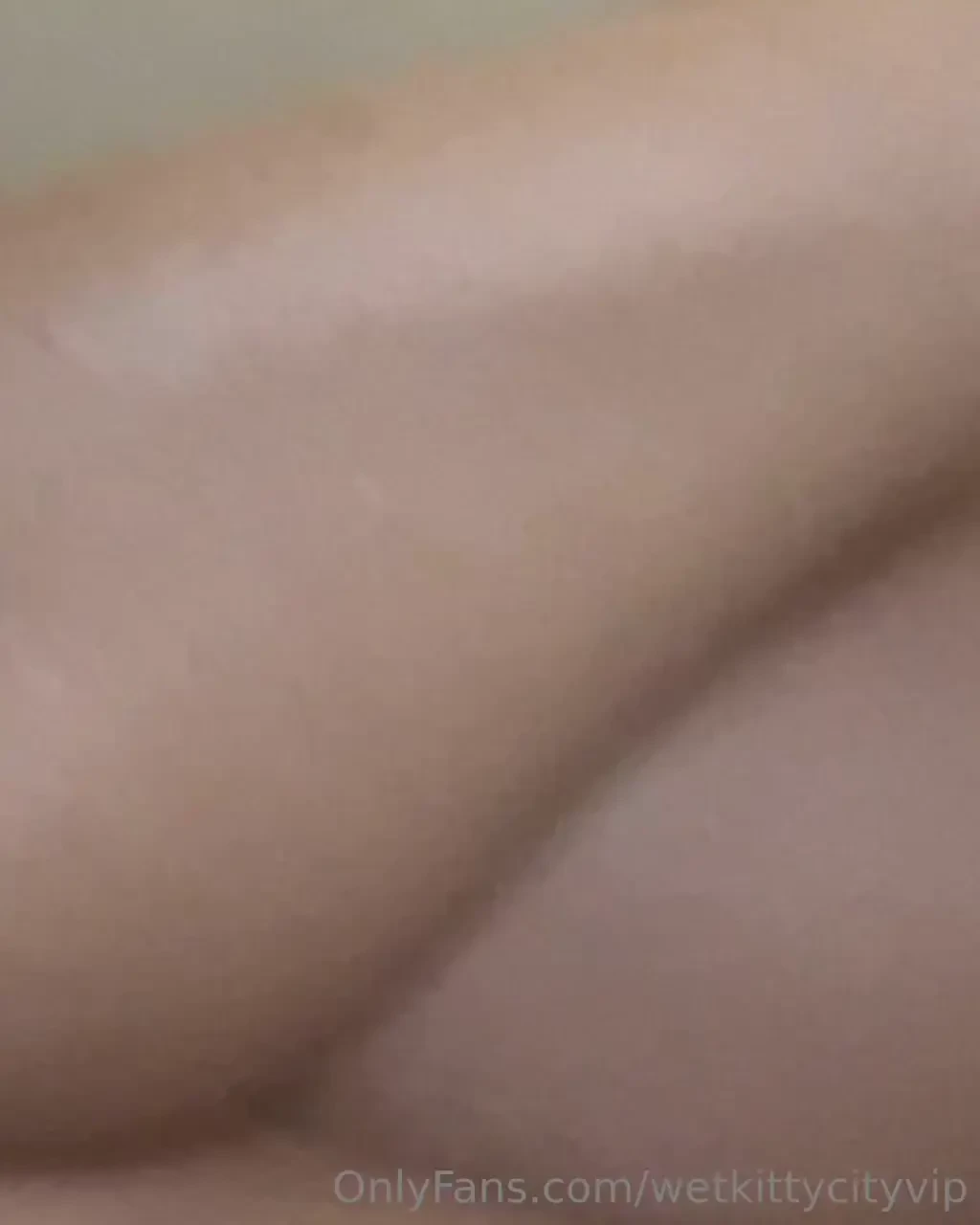 Wetkittycityvip 