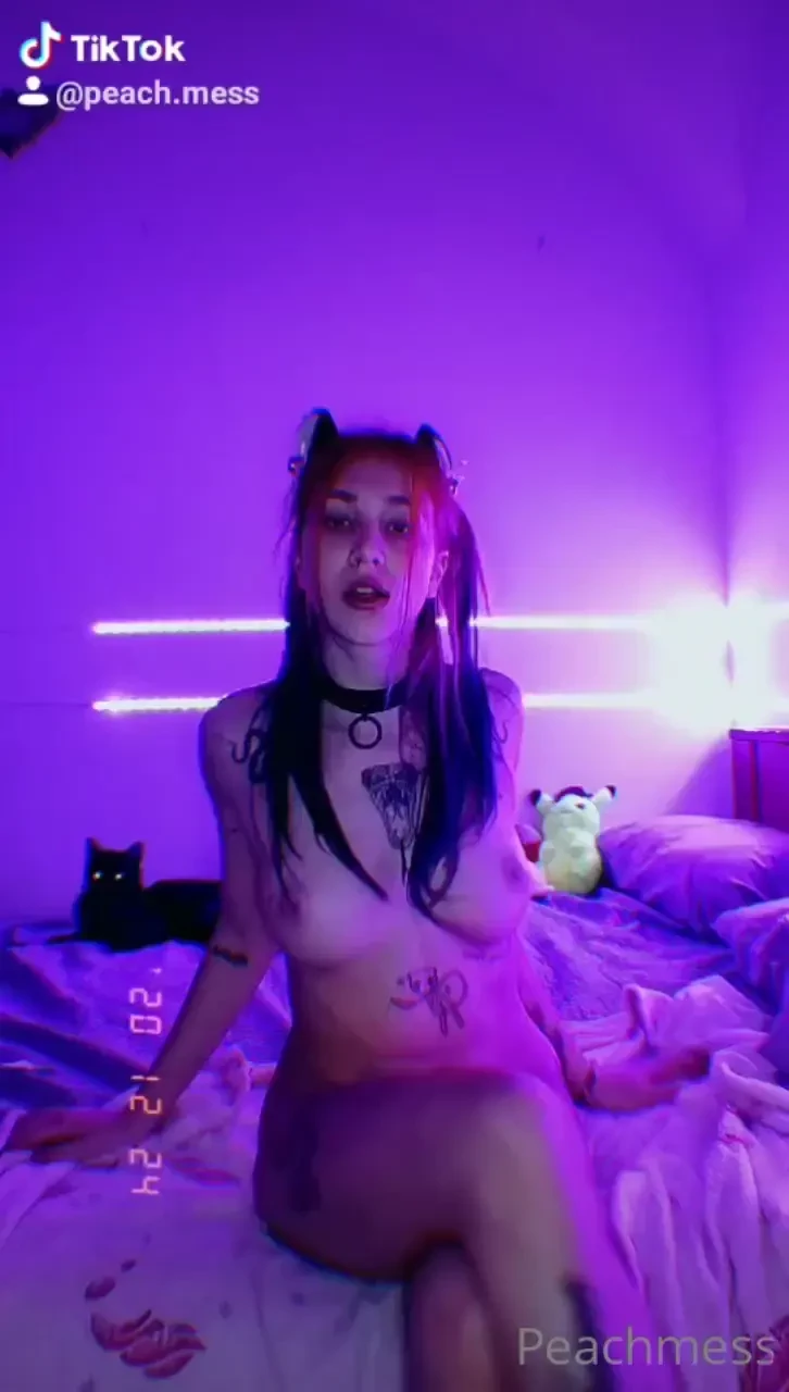 Ho fatto il tik tok del gatto ma versione completamente uncensored 