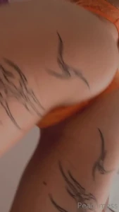 Schekerata del giorno