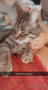 I love my kitty