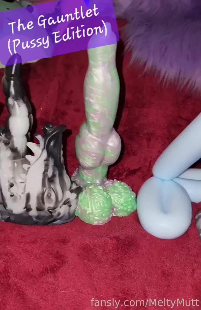 Nova runs the gauntlet pussy edition every fantasy toy in my 