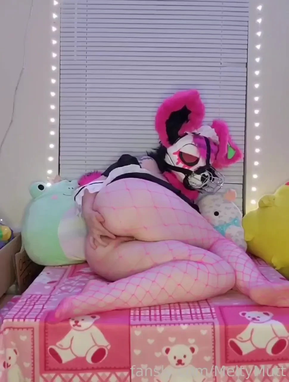 Maid melty has been muzzled and only a little plug to play with too 