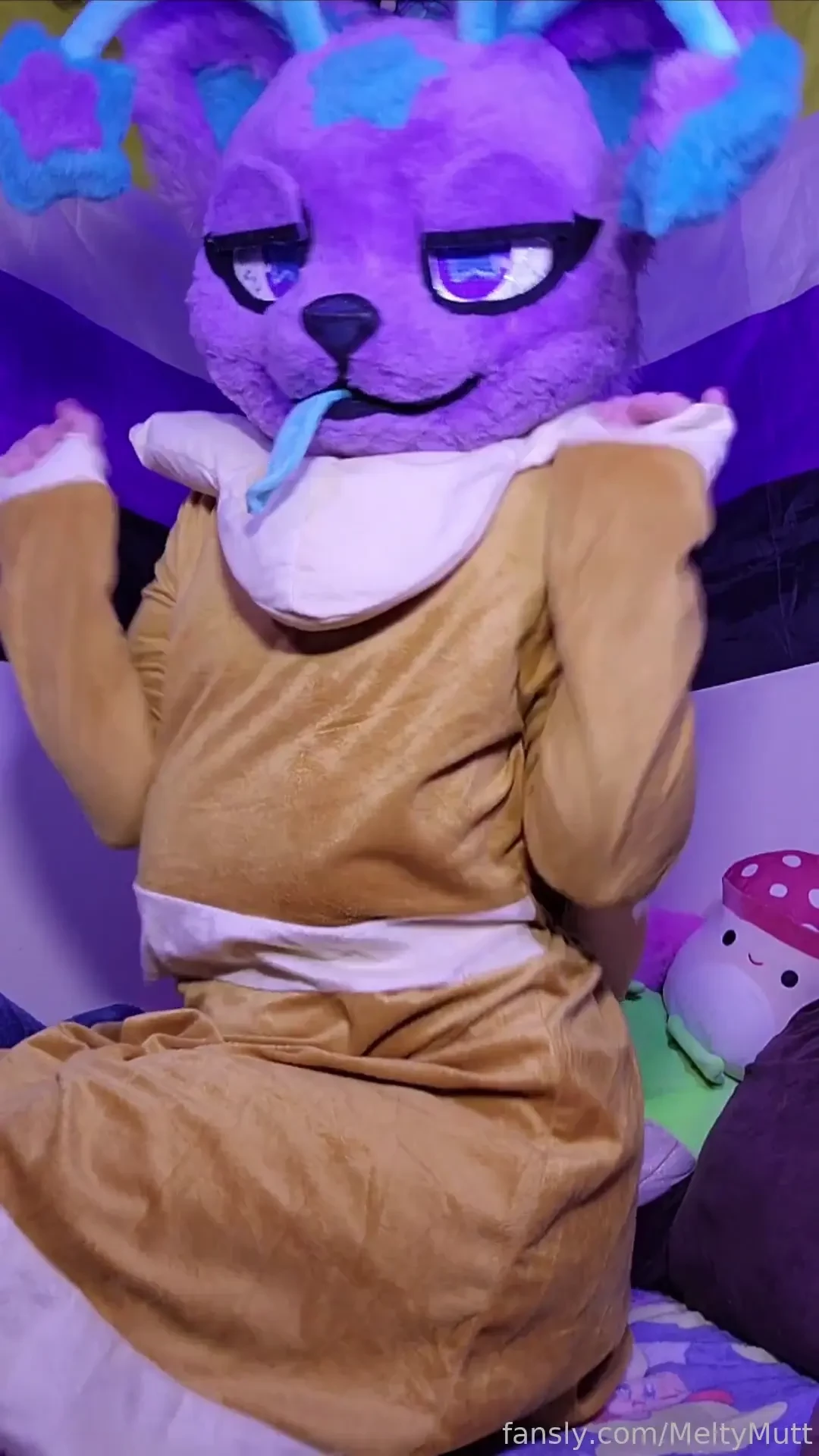 Nova is a pokemon looks like they seem to think they re an eevee and 