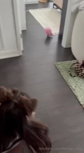Puppy karma knows lots of fun tricks like fetch and speak we re still