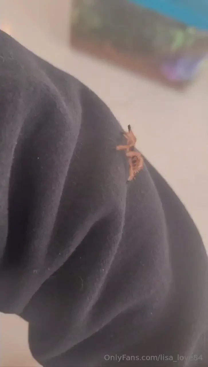 In the spirit of halloween i thought i d take some pictures of a few 