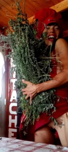 Japi japi monday as de contenta me ponen las plantas mira c mo termina part 1