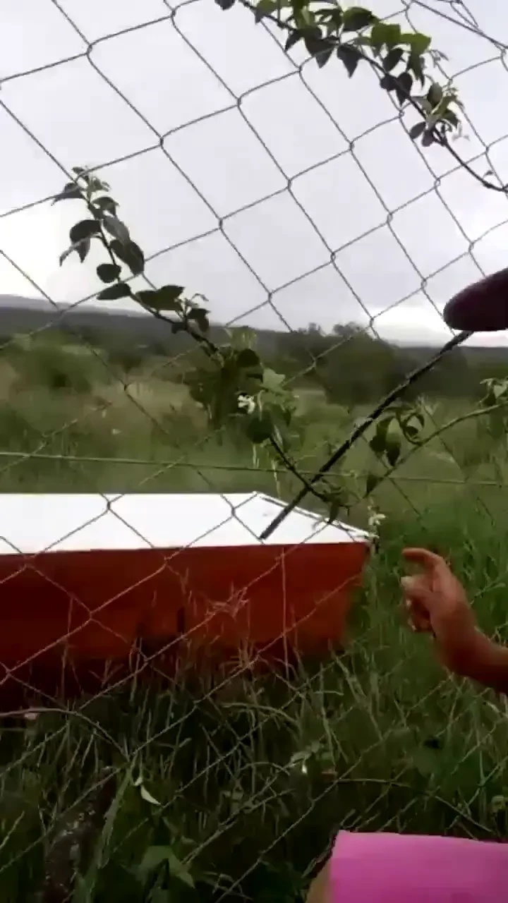 Stream started at 01 03 2024 07 07 pm 