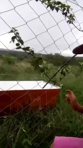 Stream started at 01 03 2024 07 07 pm