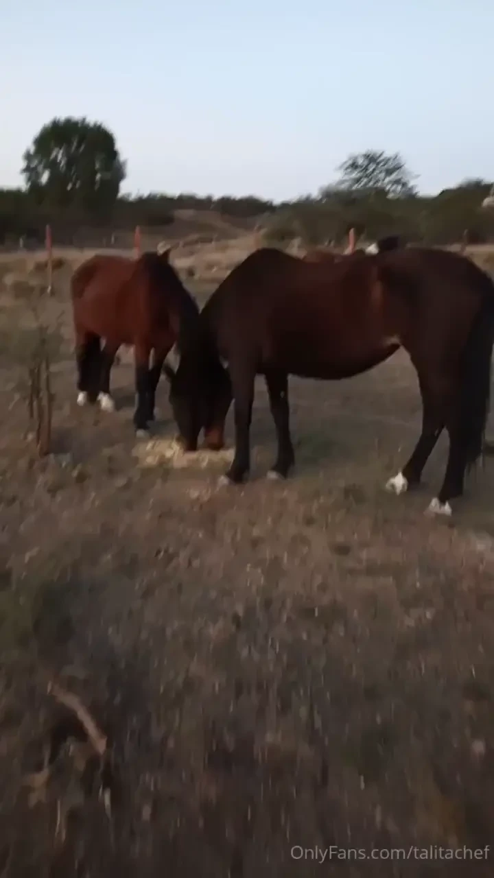 Hoy en la granja nos vinieron a visitar nuevos amigos part 1 
