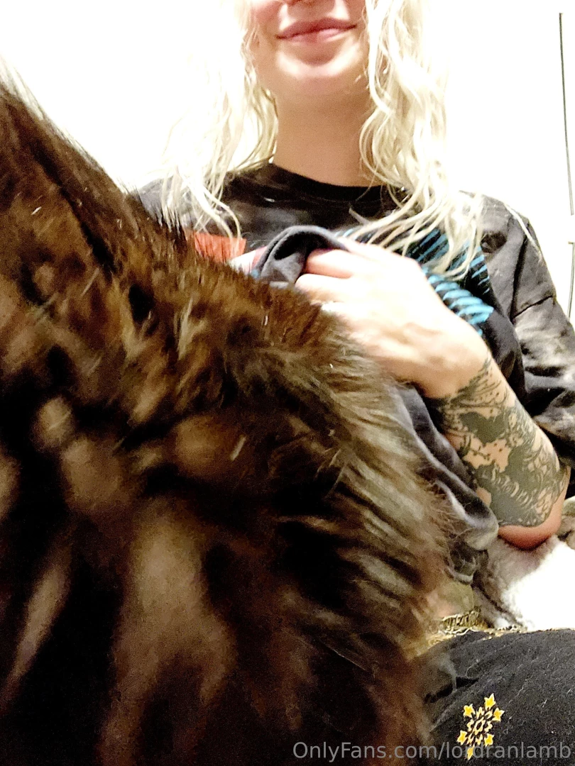 Crow cat doesn t want me to take photos part 1 