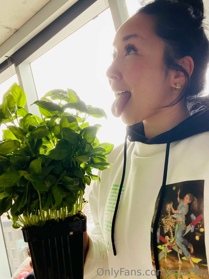 Just want to share with you my devotion for my basil i think i am 