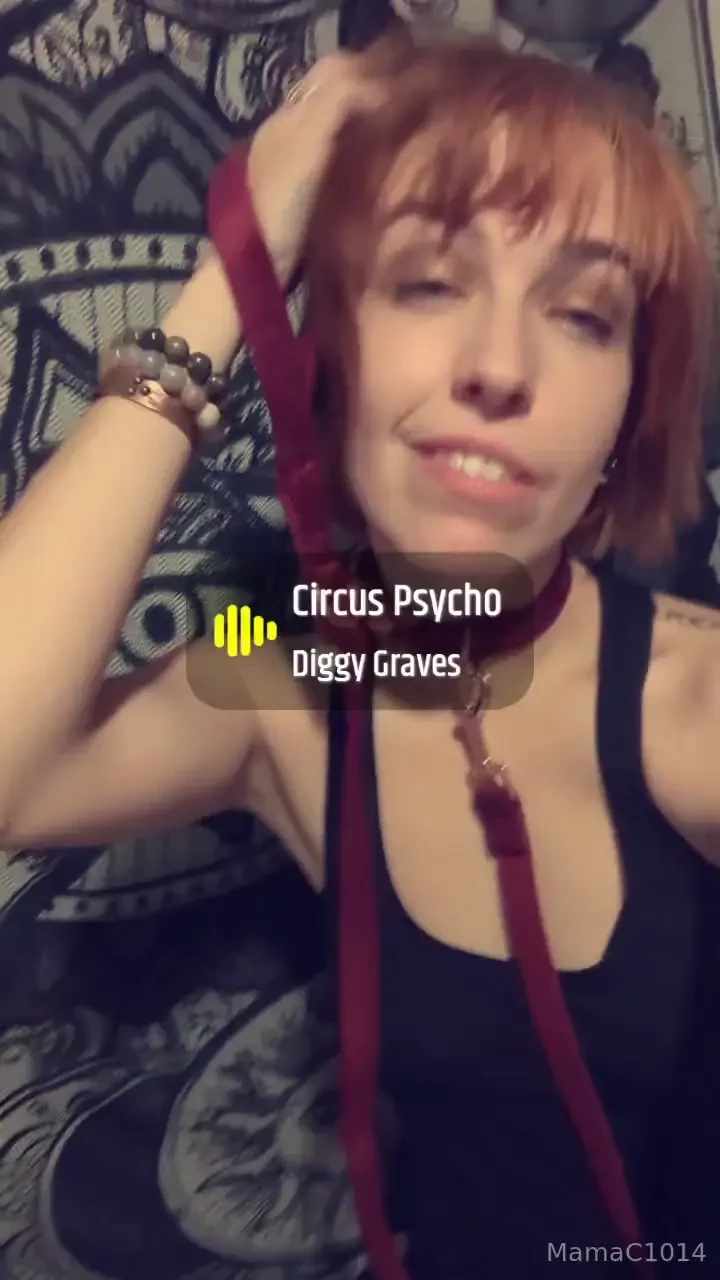 Just playing around with some snap chat filters and my leash amp 