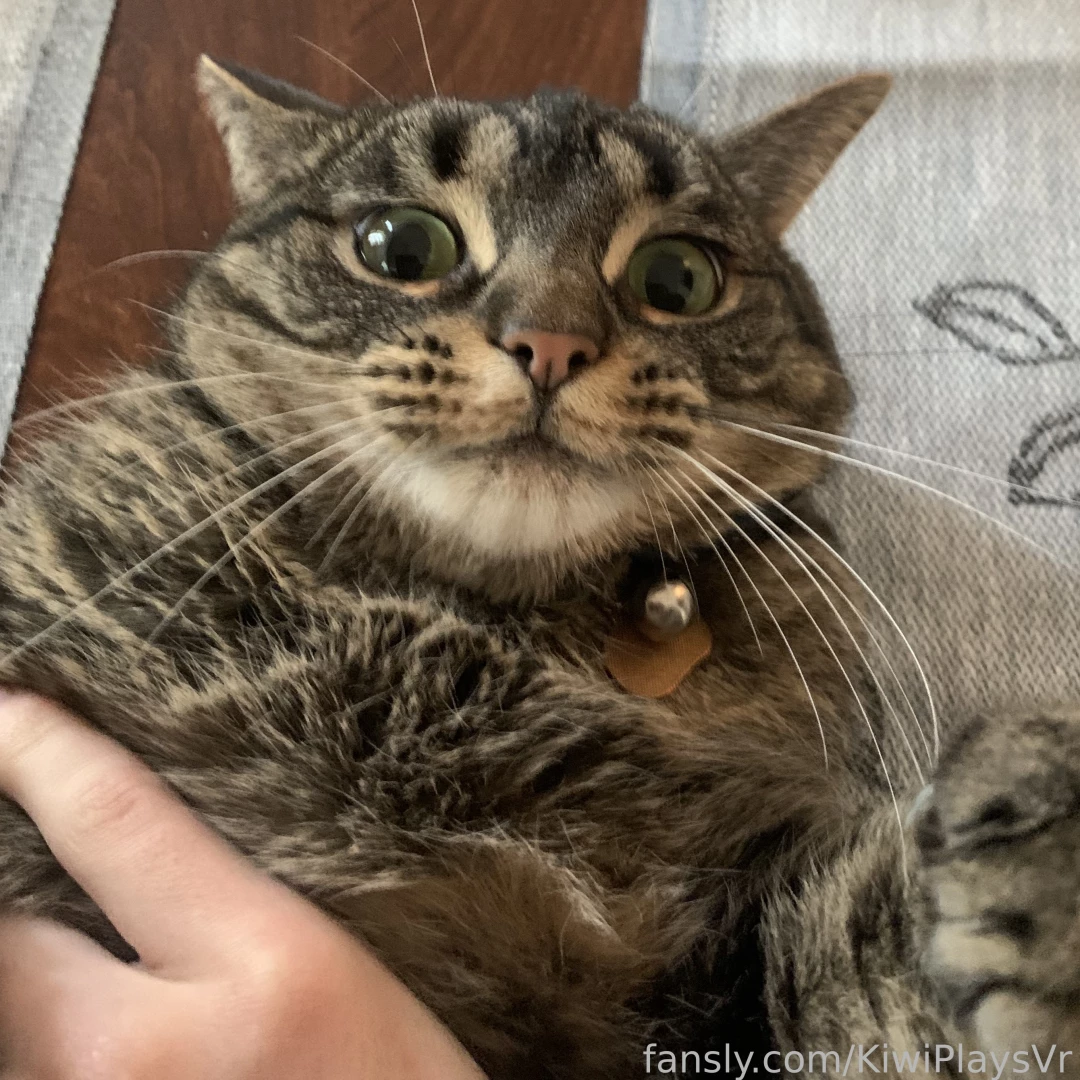 I showed you my pussy pls responds 