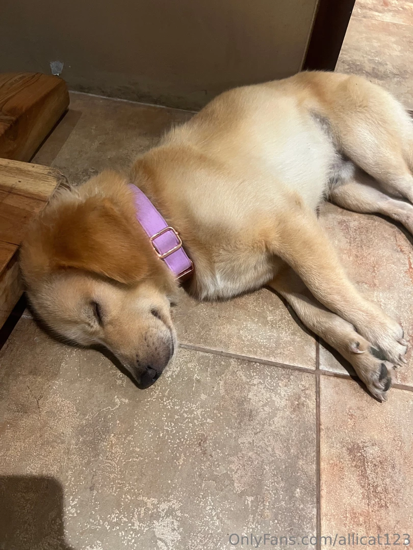 Feeling bootyful today heheh cos i saw this cute little doggie in a part 1 