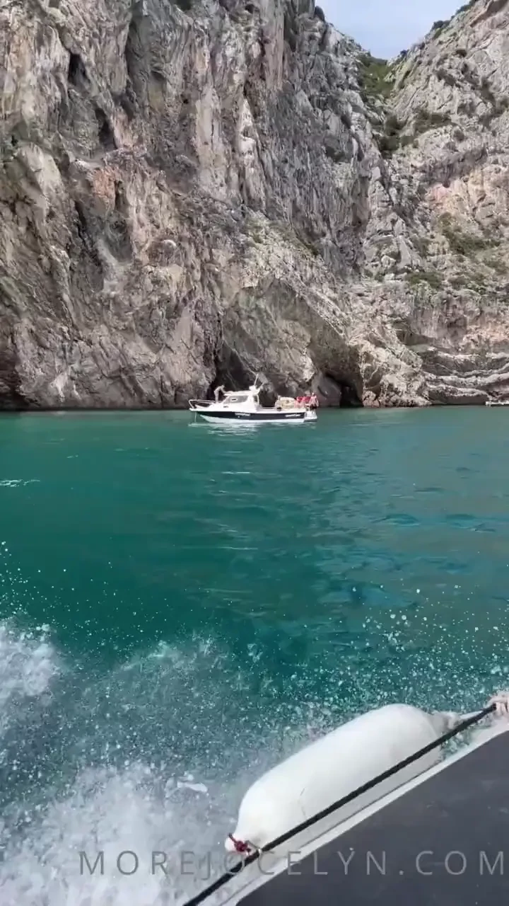 I chartered a boat with seven of my closest friends and spent the day 