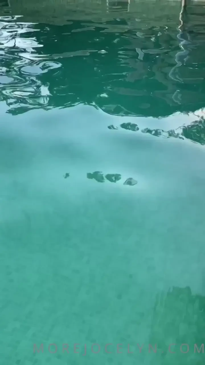 I spent the last 4 days in spain to celebrate a beloved who got 