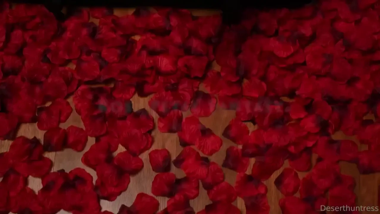 I didn t get to do a valentines shoot this year bc of boobie surgery 