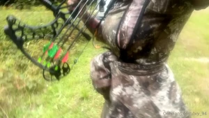 Nh bear hunting