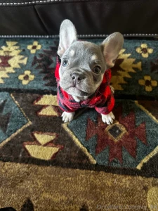 Okayyyy i m backkkk from my social media break lol here s photos of my part 1