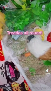 Sweet dweamzz ugarzz ccz crystalcrayazionz therainbowbutterfly chat part 6