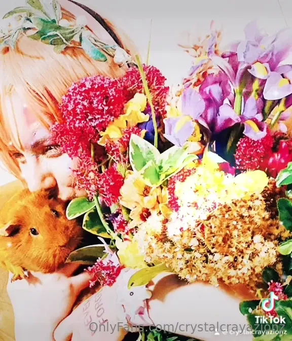 Sweet dweamzz ugarzz ccz crystalcrayazionz therainbowbutterfly 