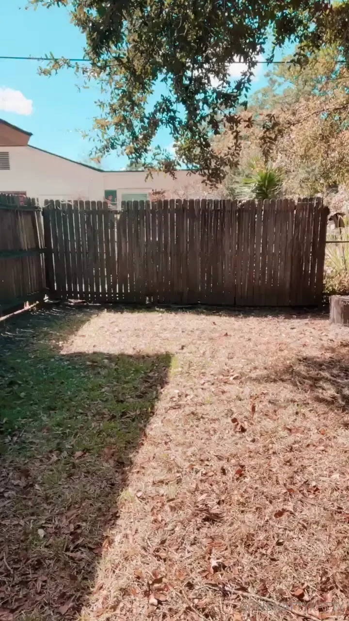 A funny tiktok for your tuesday 