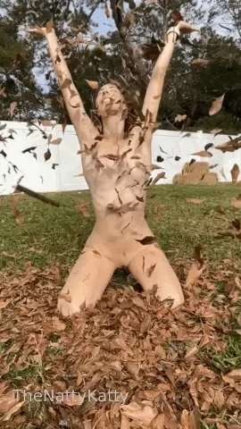 The weather is cool the leaves are falling and katie s feeling frisky 