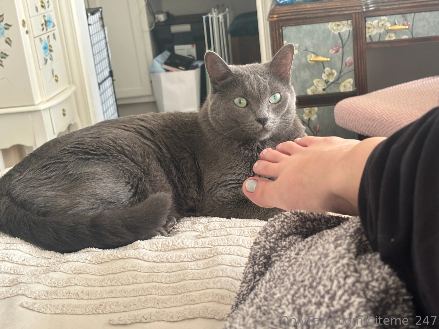 Your girl got her nails did charlie approves part 1 