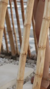 Check your inbox for the latest video i play with my wet pussy for you