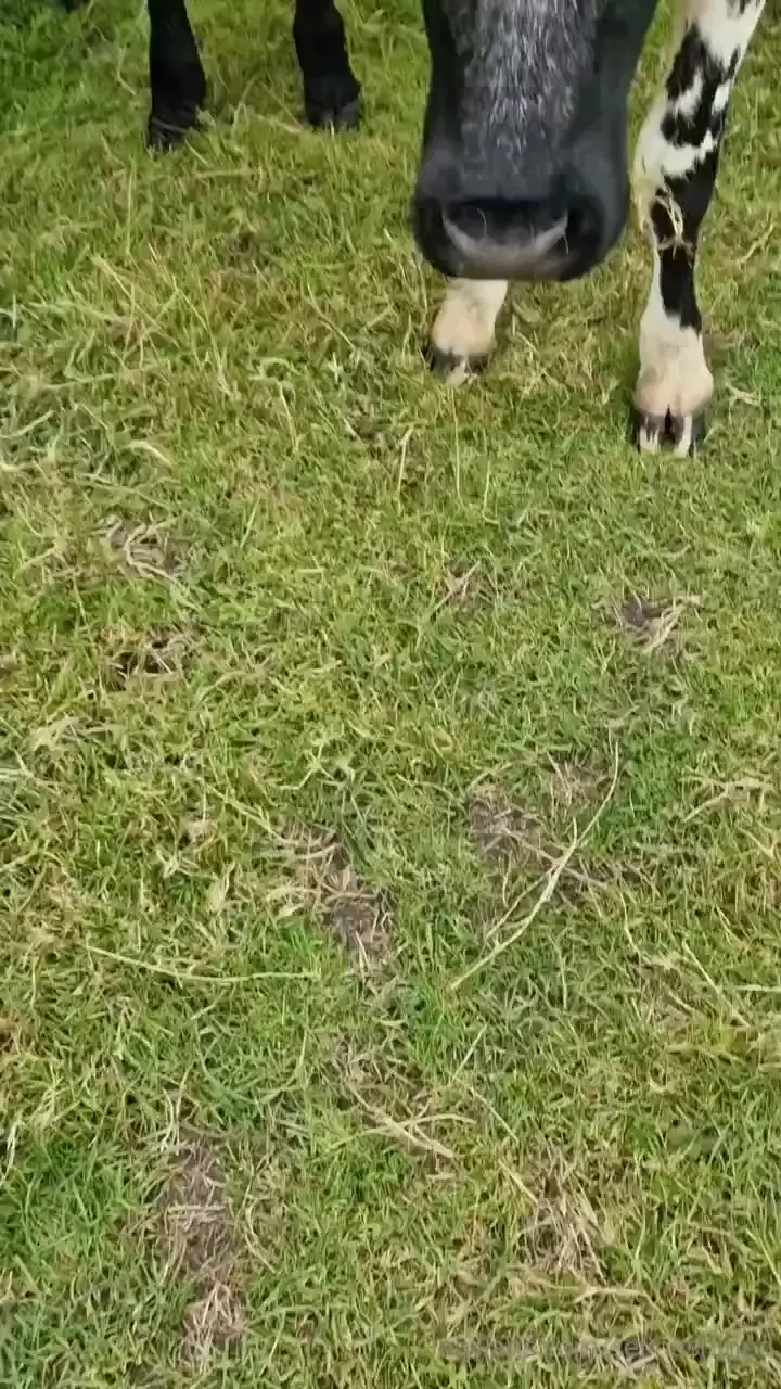 Cum for a walk with me part 2 