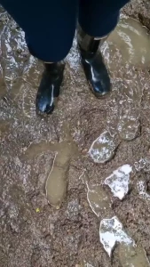Stomp stomp part 2