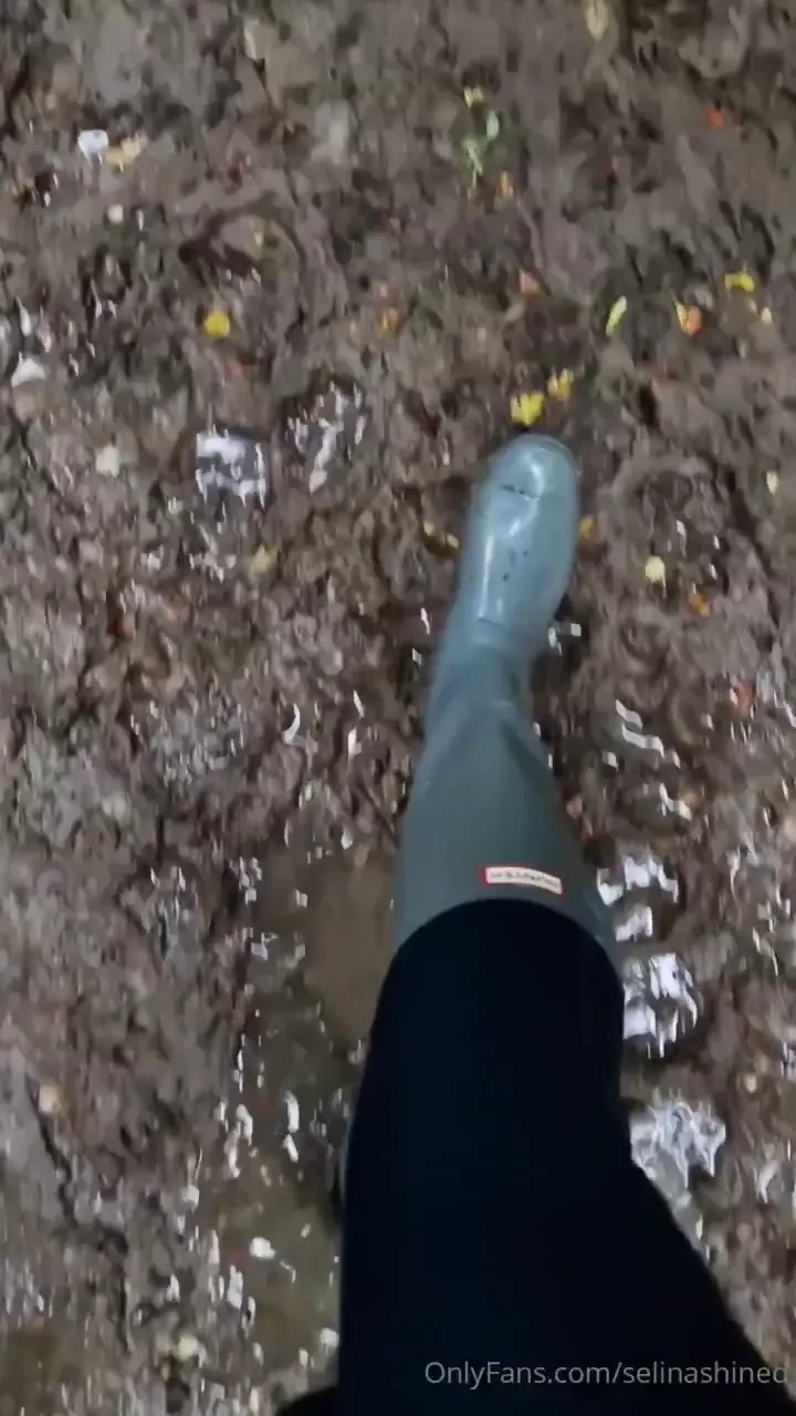 New grey hunters 