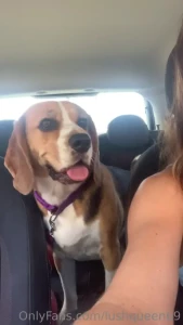 Embarking on a pawsome drive with my best furry friend