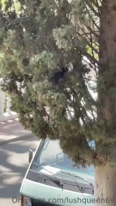 Beauty is in the nature what are your plans for the weekend