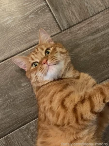 Hey guys sorry for disappearing 2 days before the new year i cought a