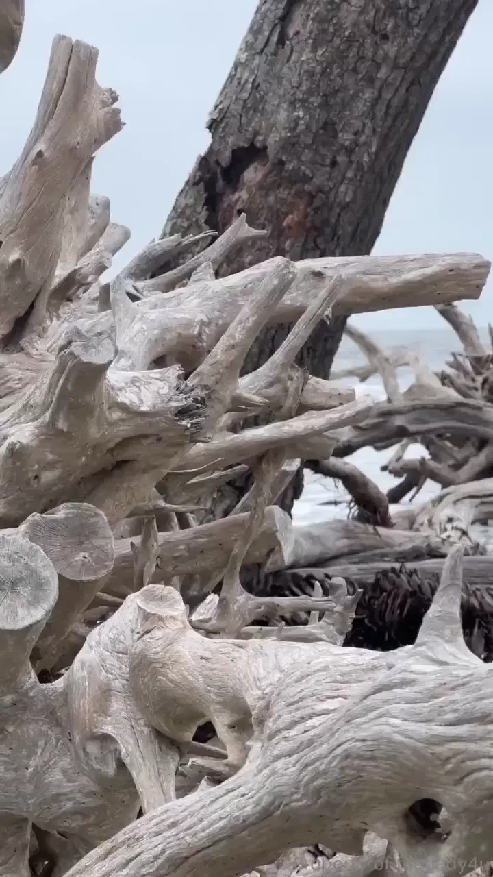 More of me walking on beach something i love to do 