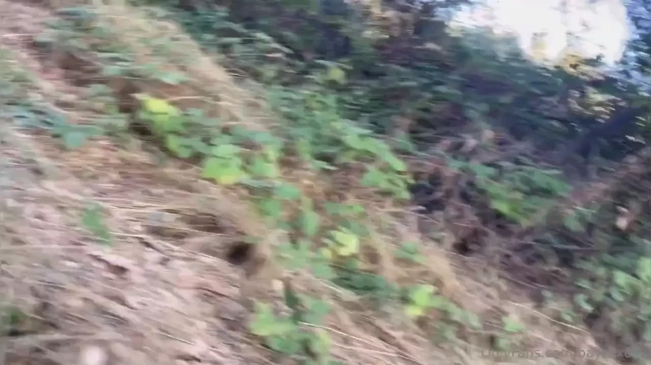 Feeding daddies in park trails i had a load ready to pull out i found 