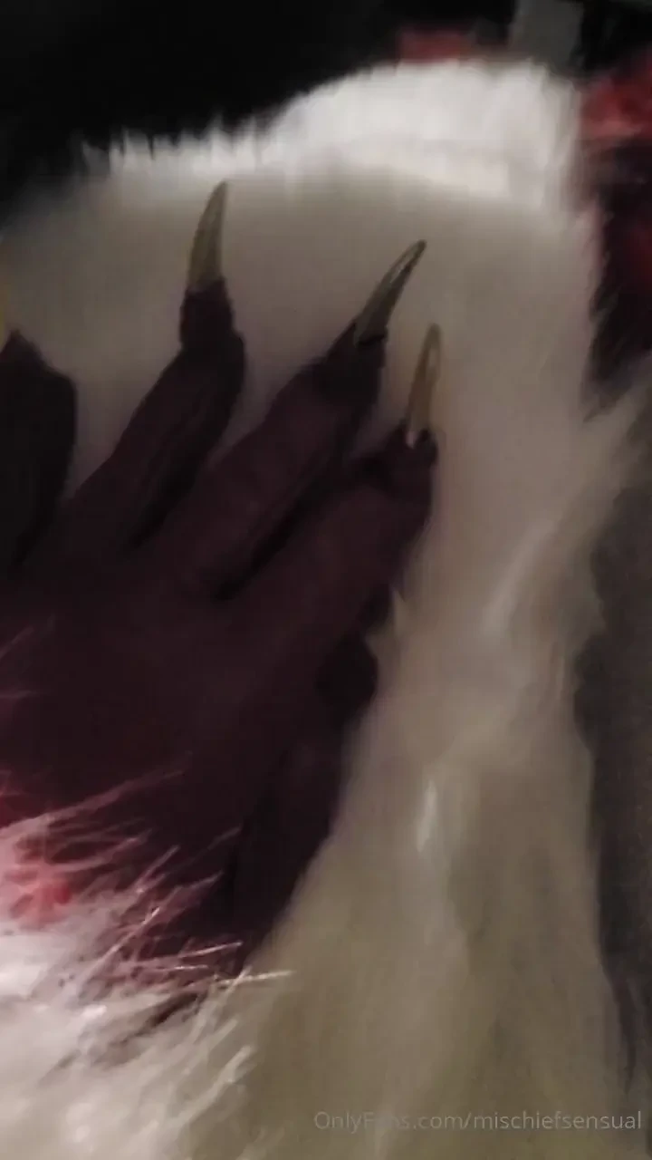 Santasfavorite i dressing up throughout the season part 4 