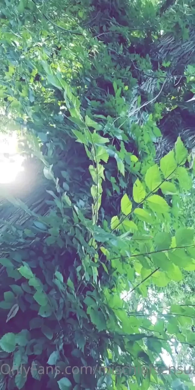 T0ple in the park what a beauty-full evening except for when i felt a 