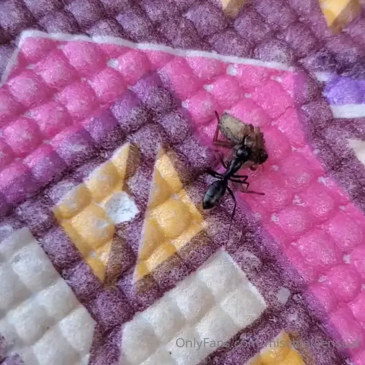 T0ple in the park what a beauty-full evening except for when i felt a part 1 