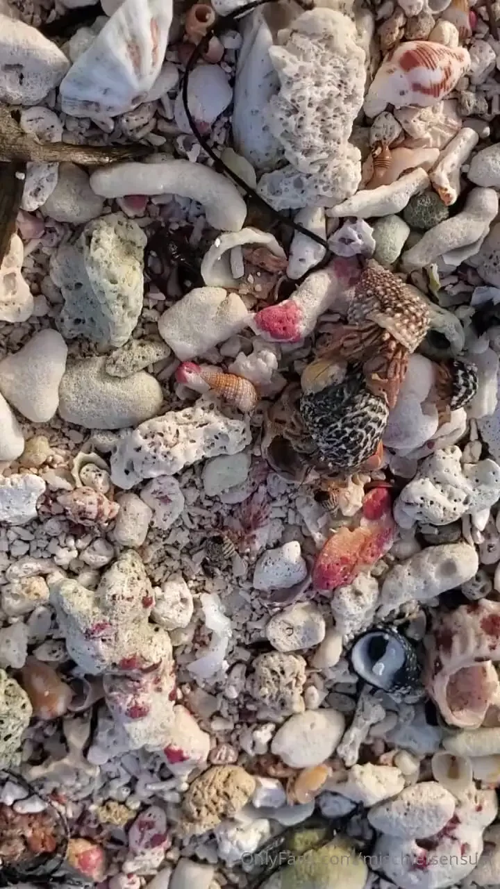 Gratitudeistheattitude 