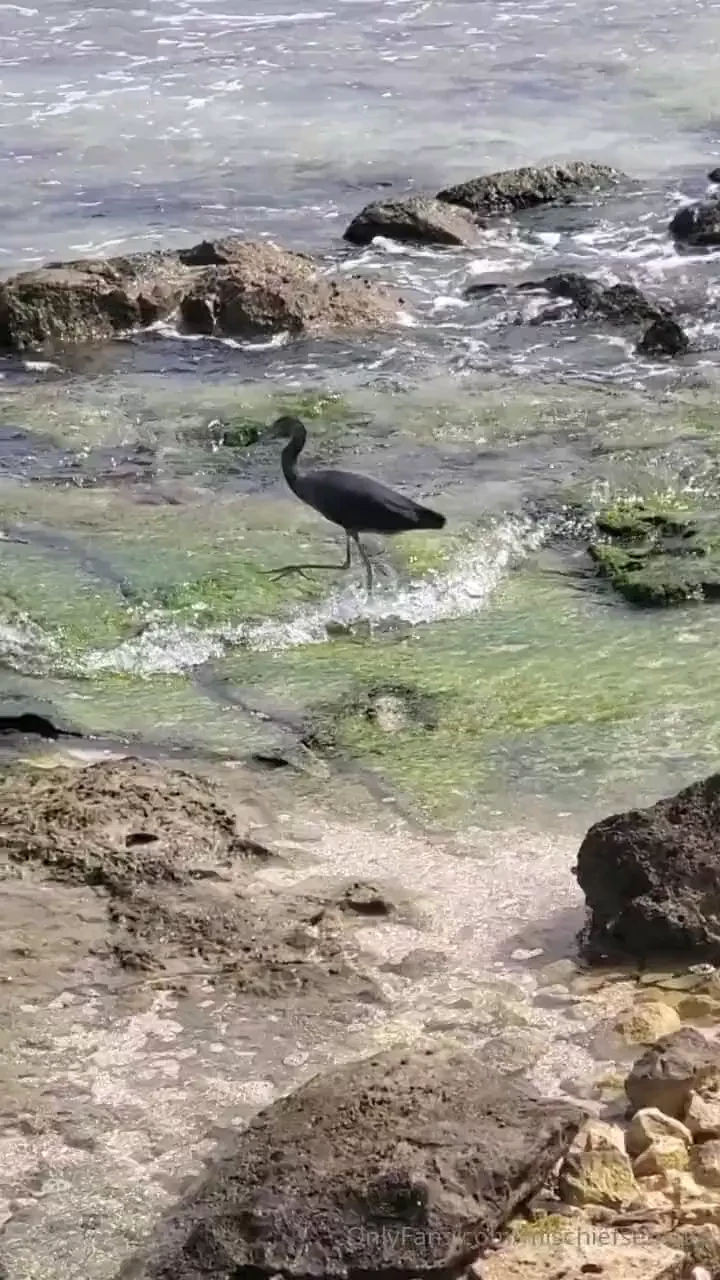 Gratitudeistheattitude part 4 