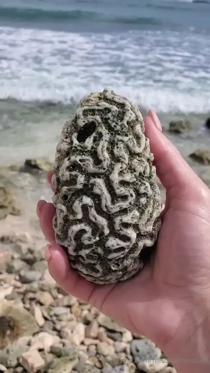 Gratitudeistheattitude part 1 